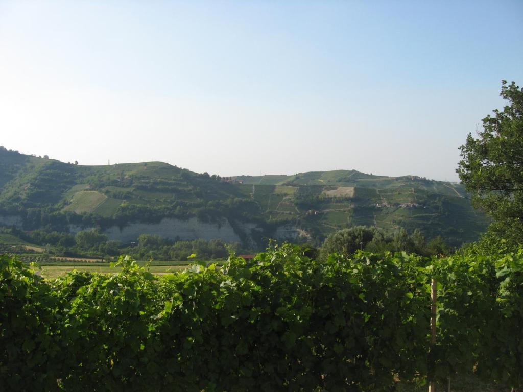 Agriturismo Cascina Serra Cossano Belbo Værelse billede