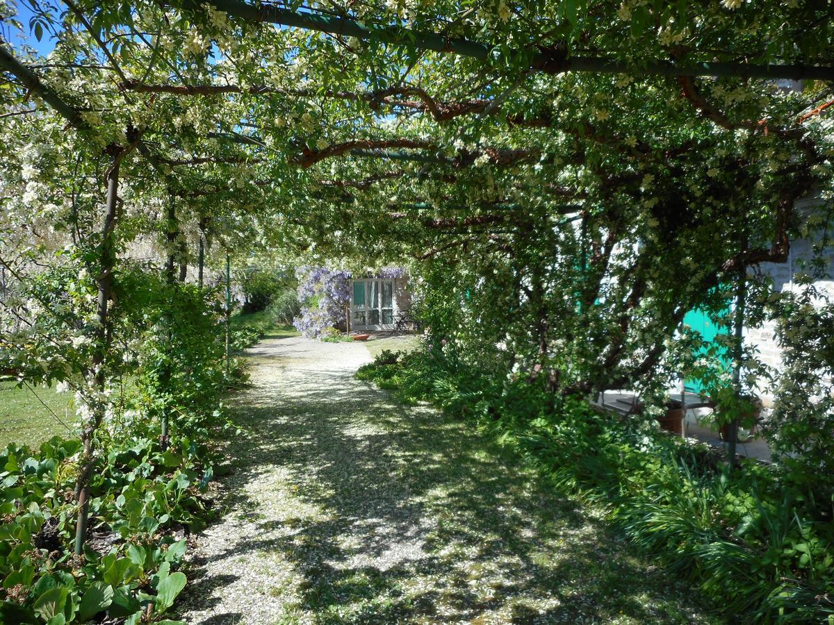 Agriturismo Cascina Serra Cossano Belbo Eksteriør billede