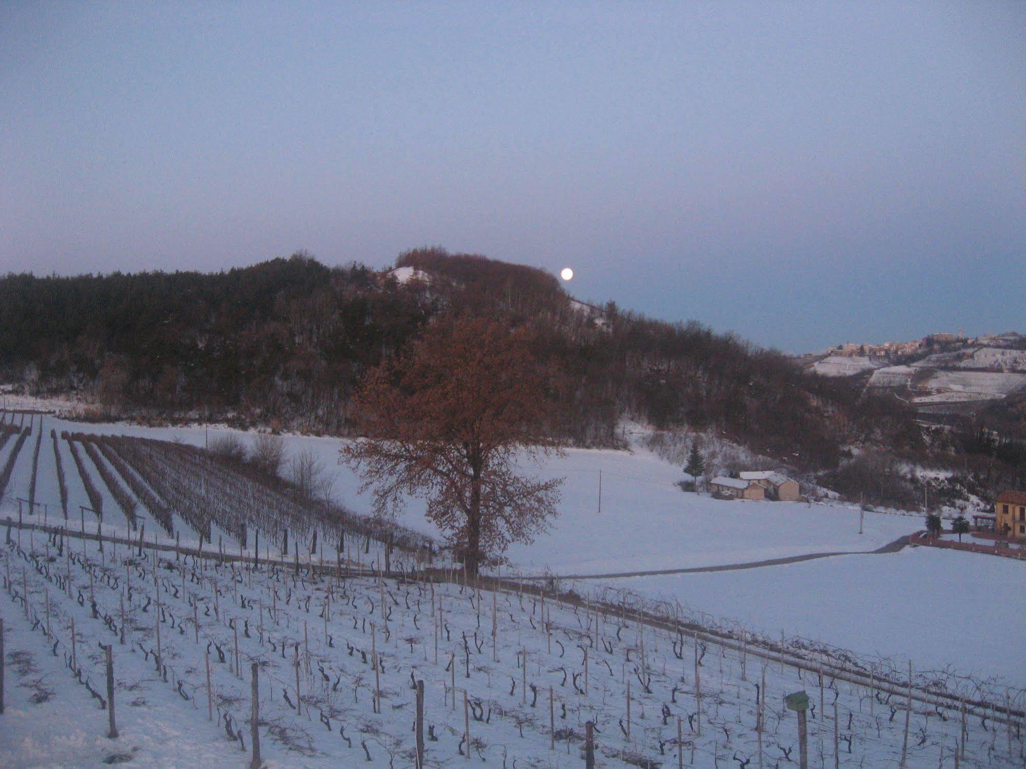 Agriturismo Cascina Serra Cossano Belbo Eksteriør billede