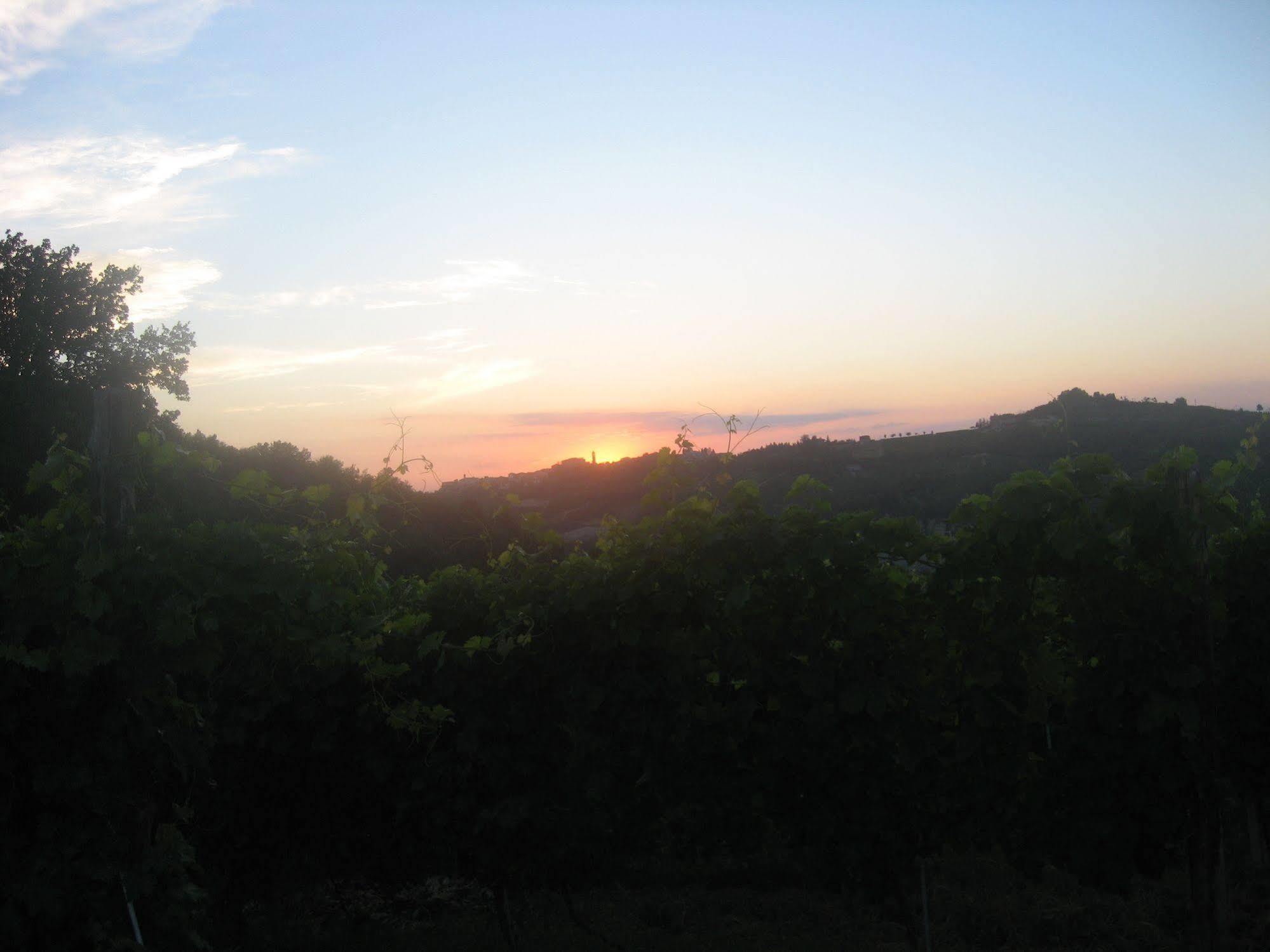 Agriturismo Cascina Serra Cossano Belbo Eksteriør billede
