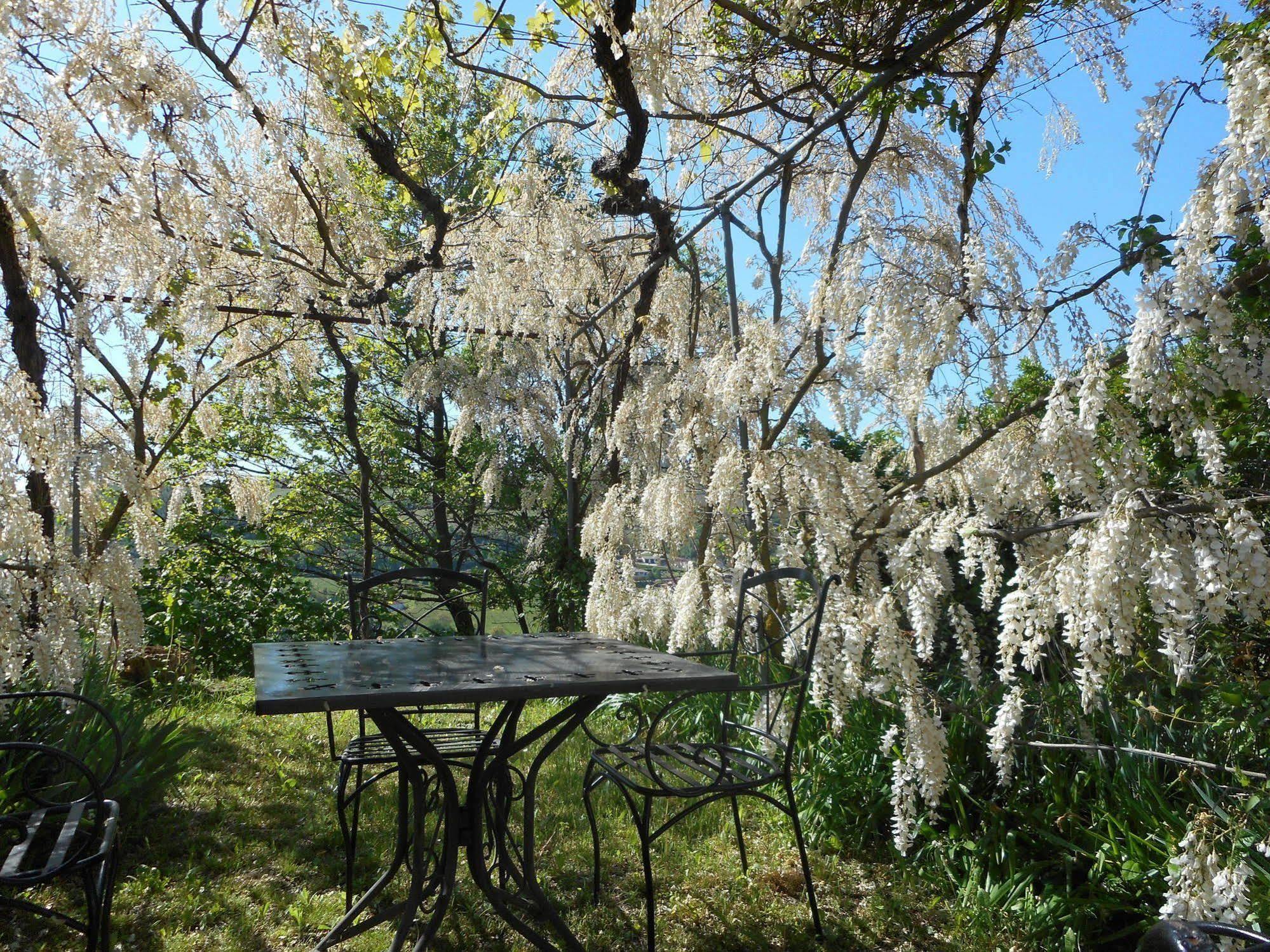 Agriturismo Cascina Serra Cossano Belbo Eksteriør billede